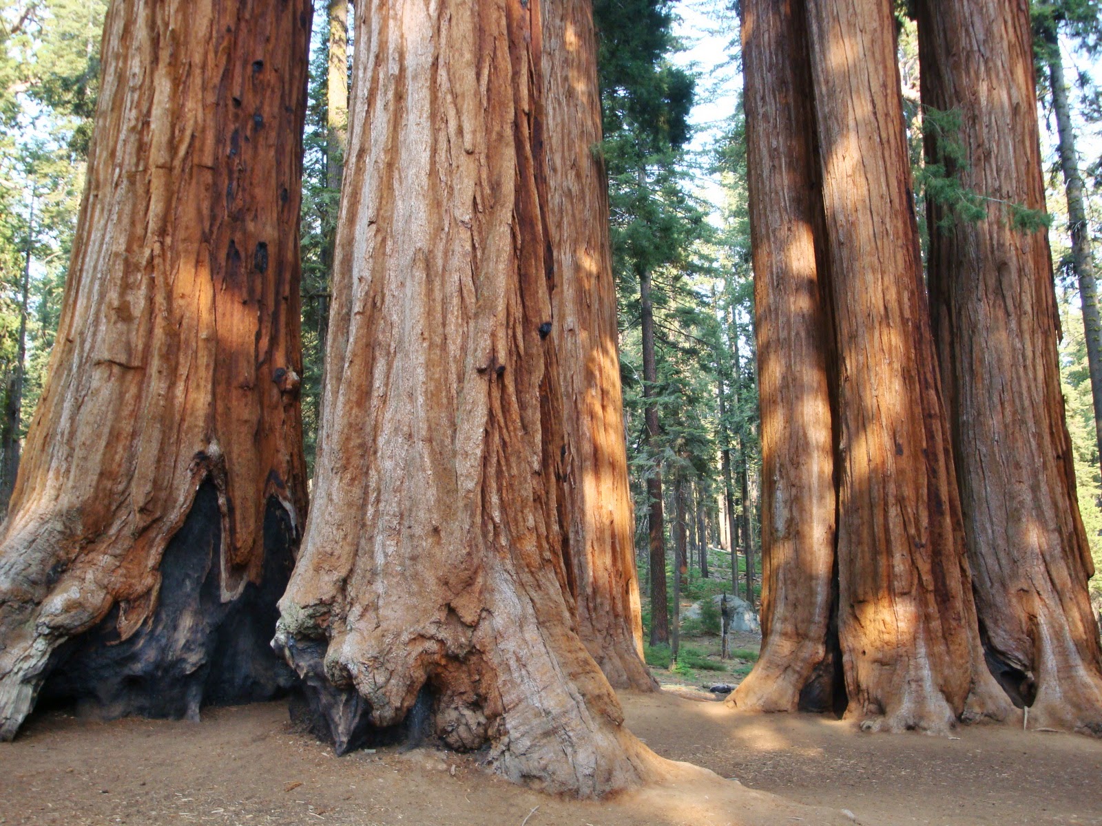 Couverture de publication