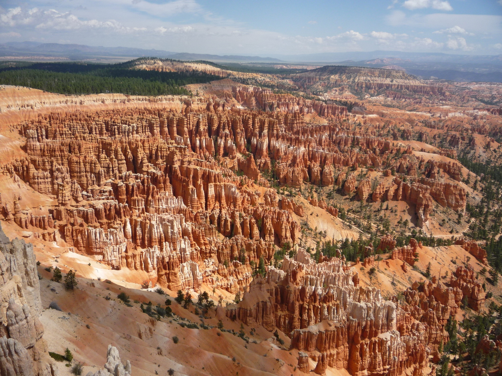 Couverture de publication