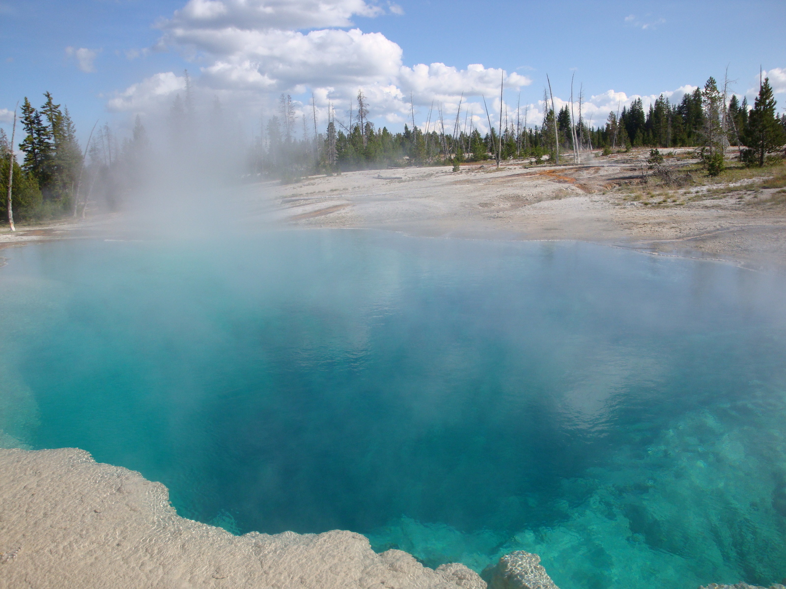 Couverture de publication