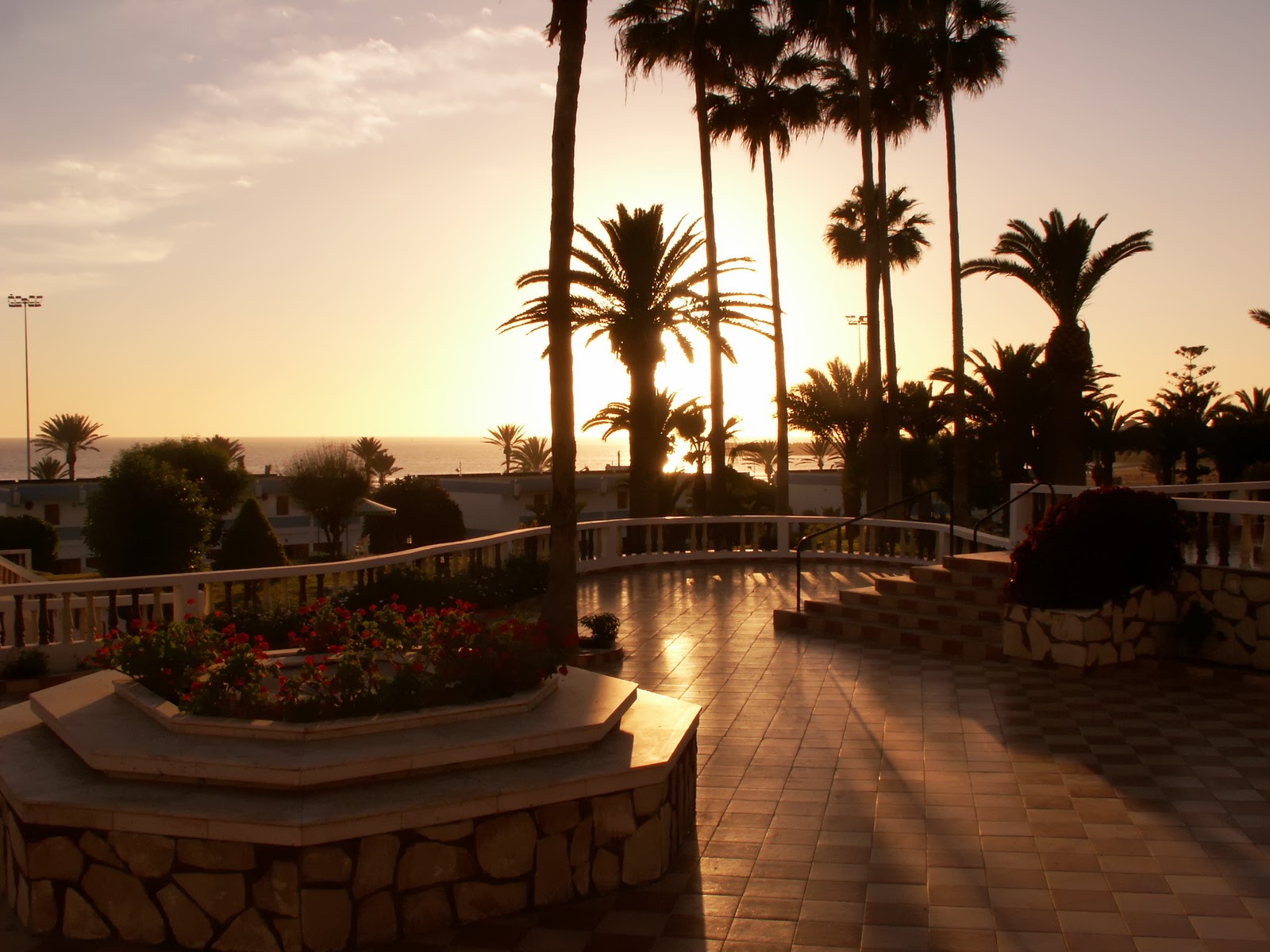 Couverture de publication