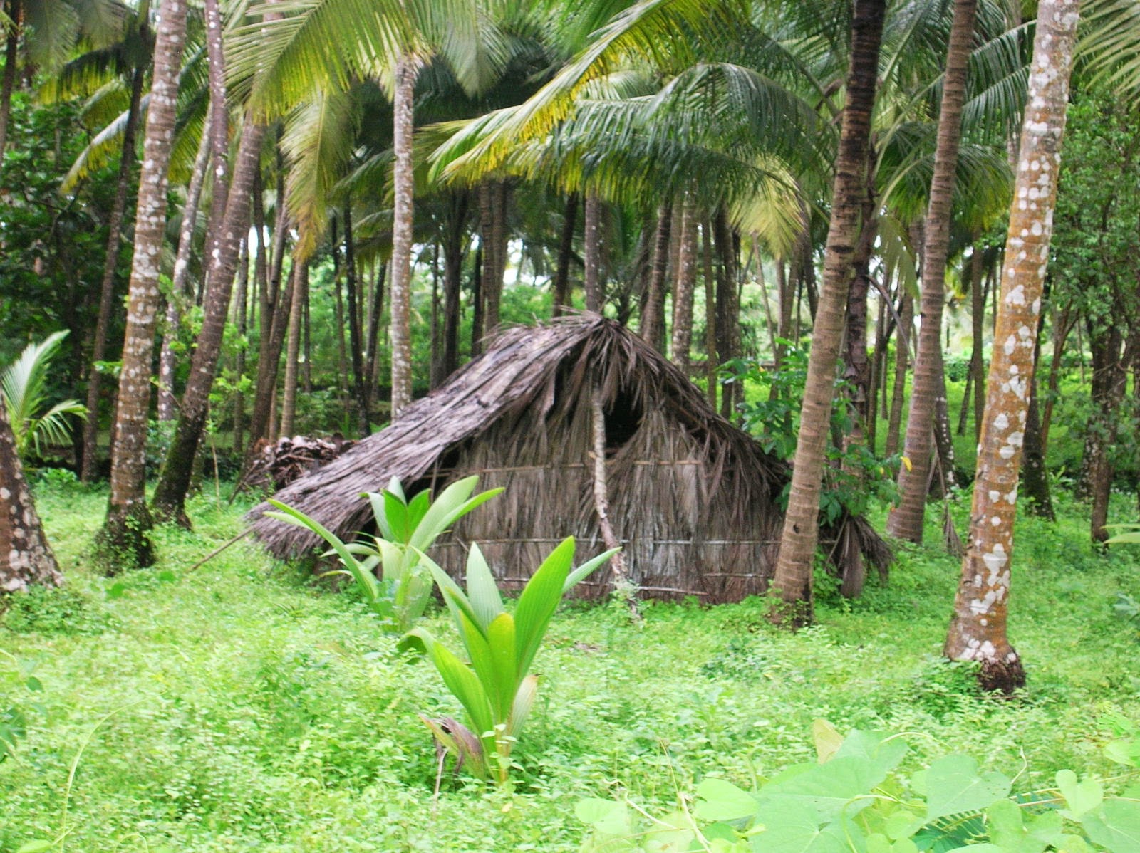 Couverture de publication