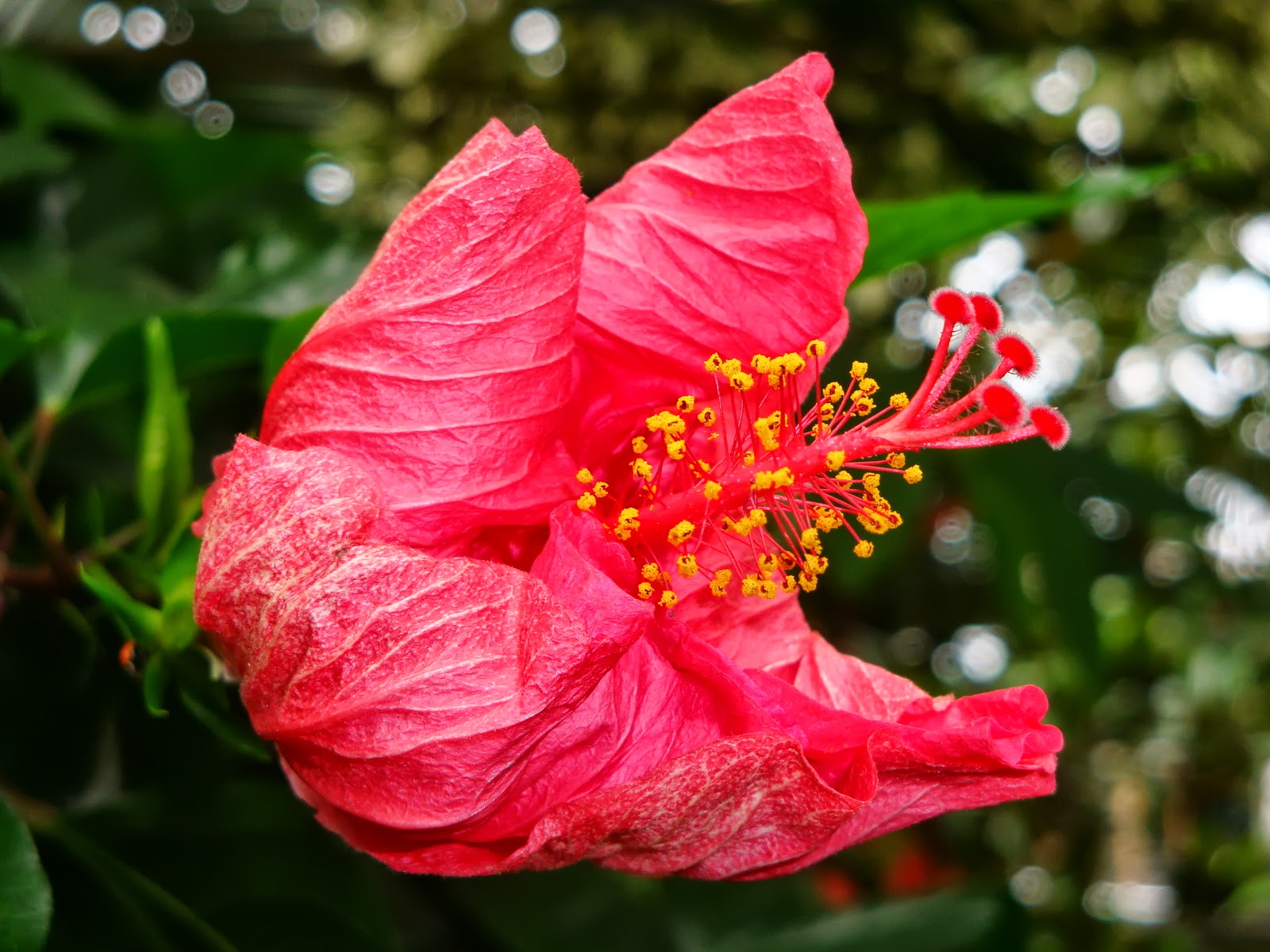 Couverture de publication