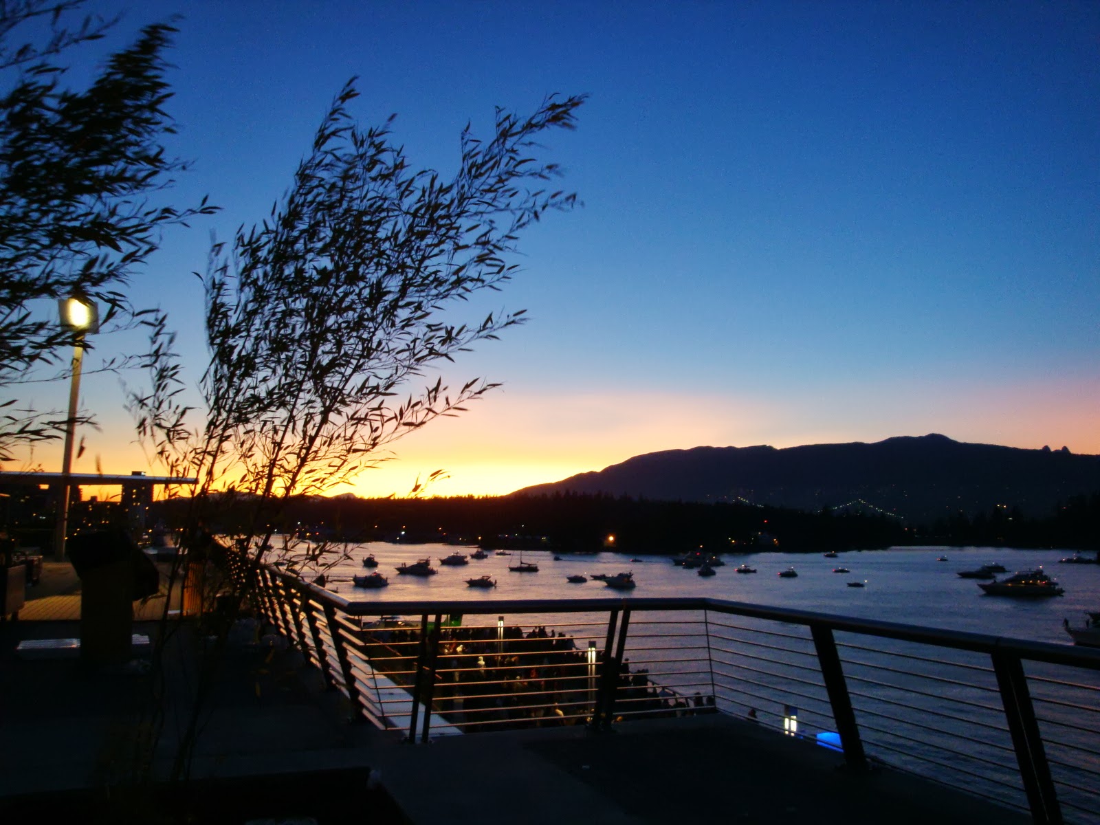 Couverture de publication