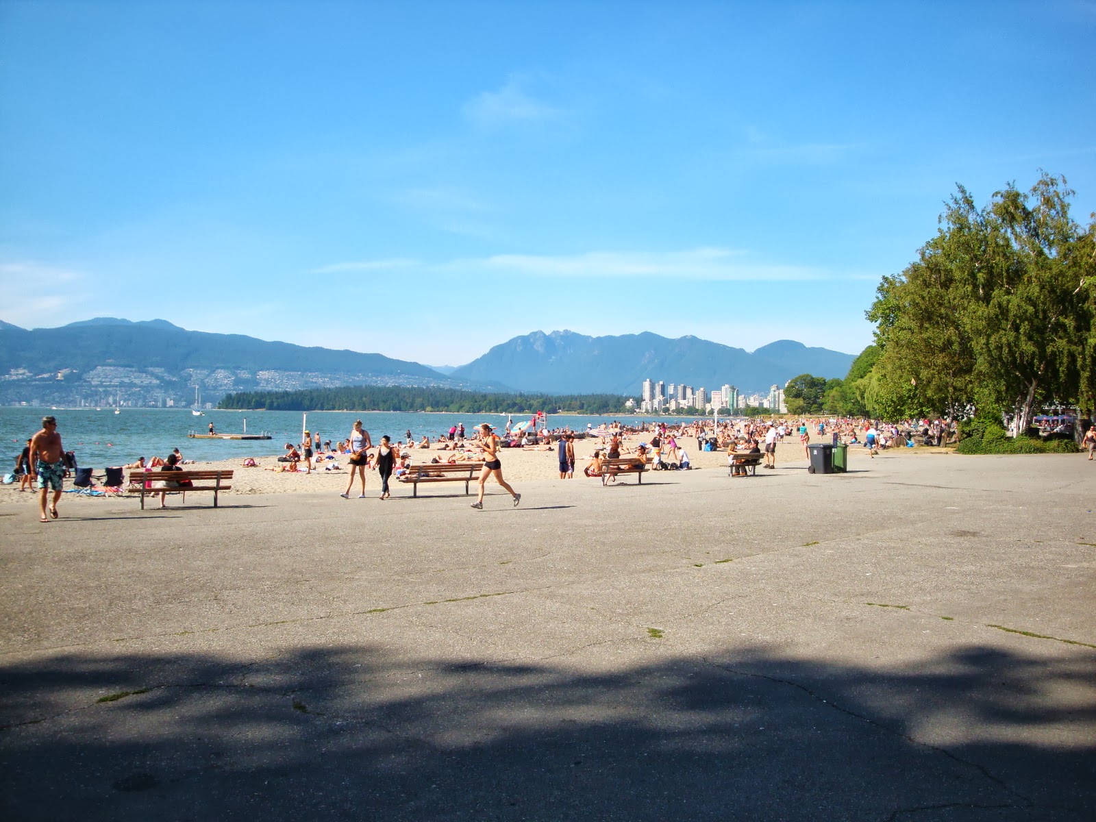 Couverture de publication