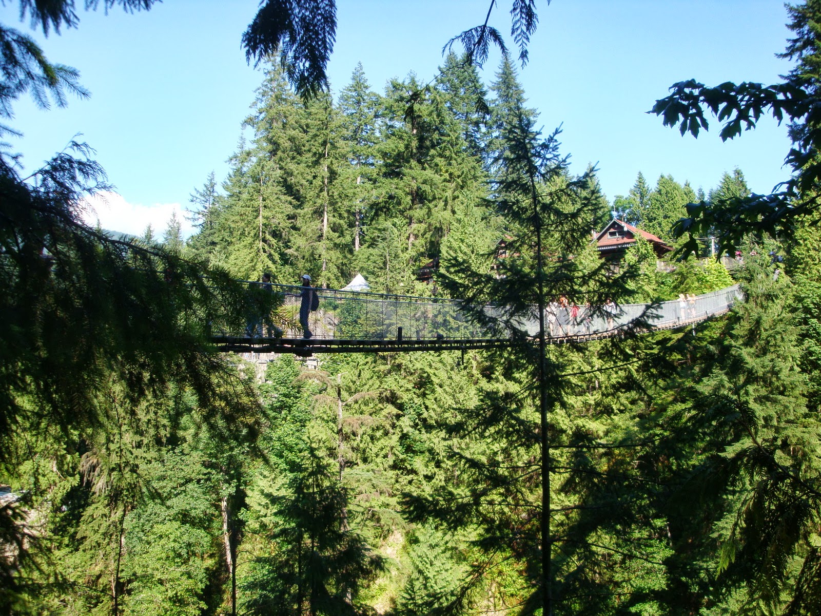 Couverture de publication