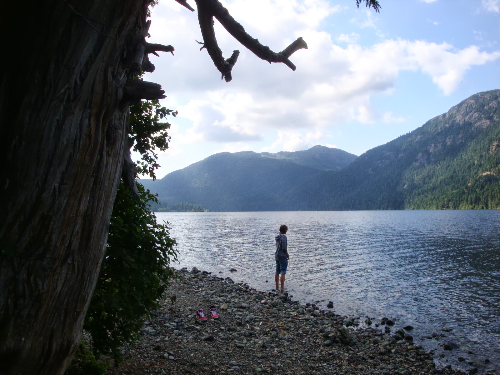 Couverture de publication