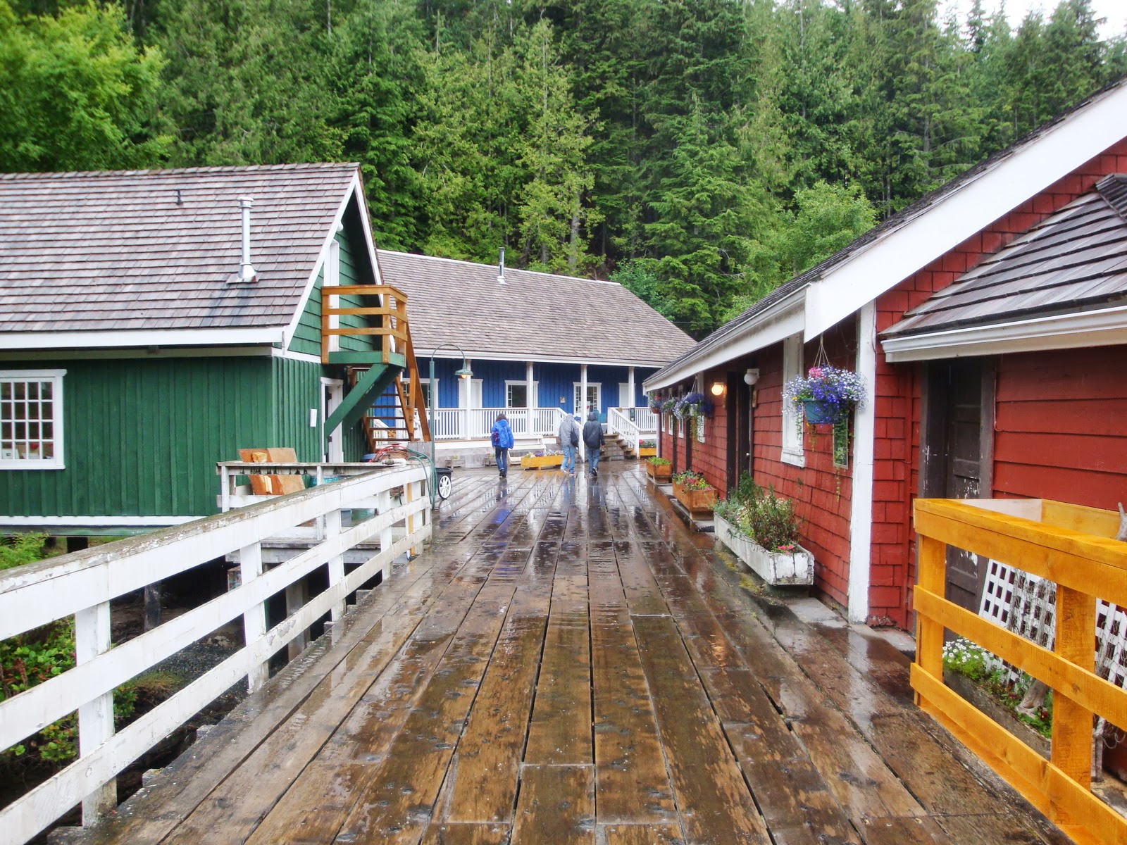 Couverture de publication