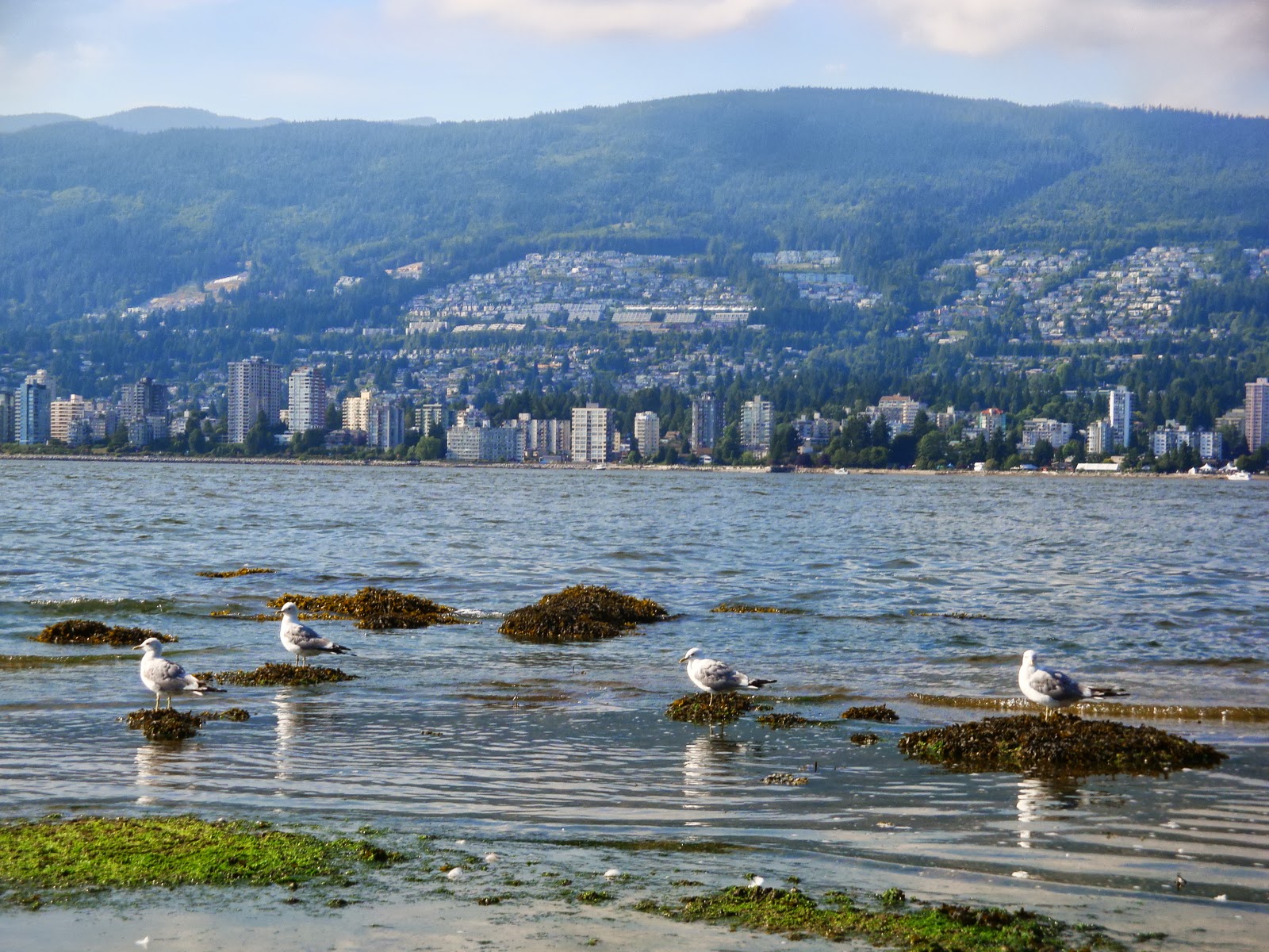 Couverture de publication