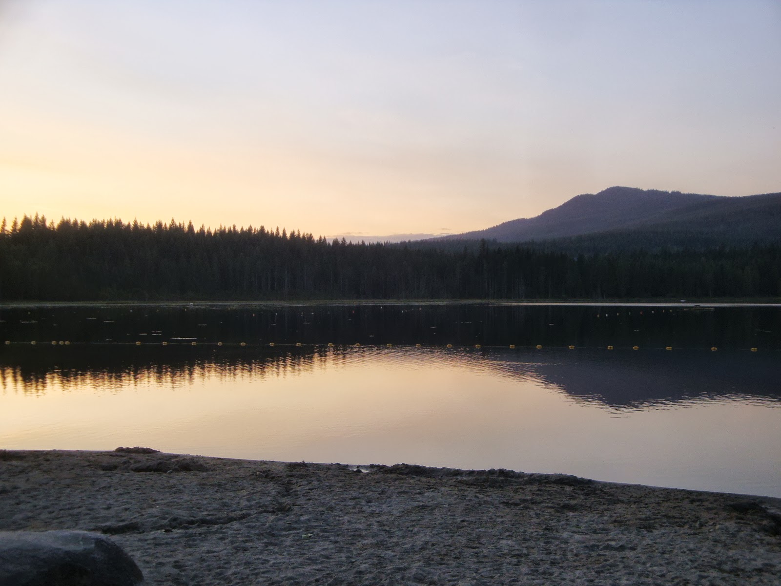 Couverture de publication