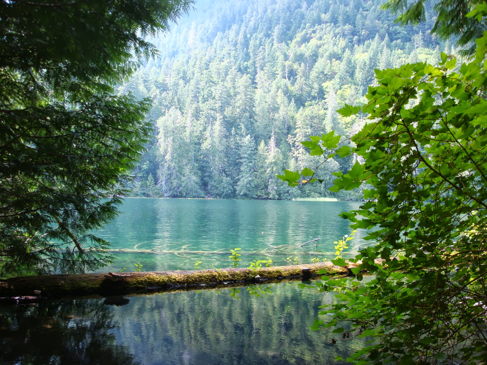 Couverture de publication