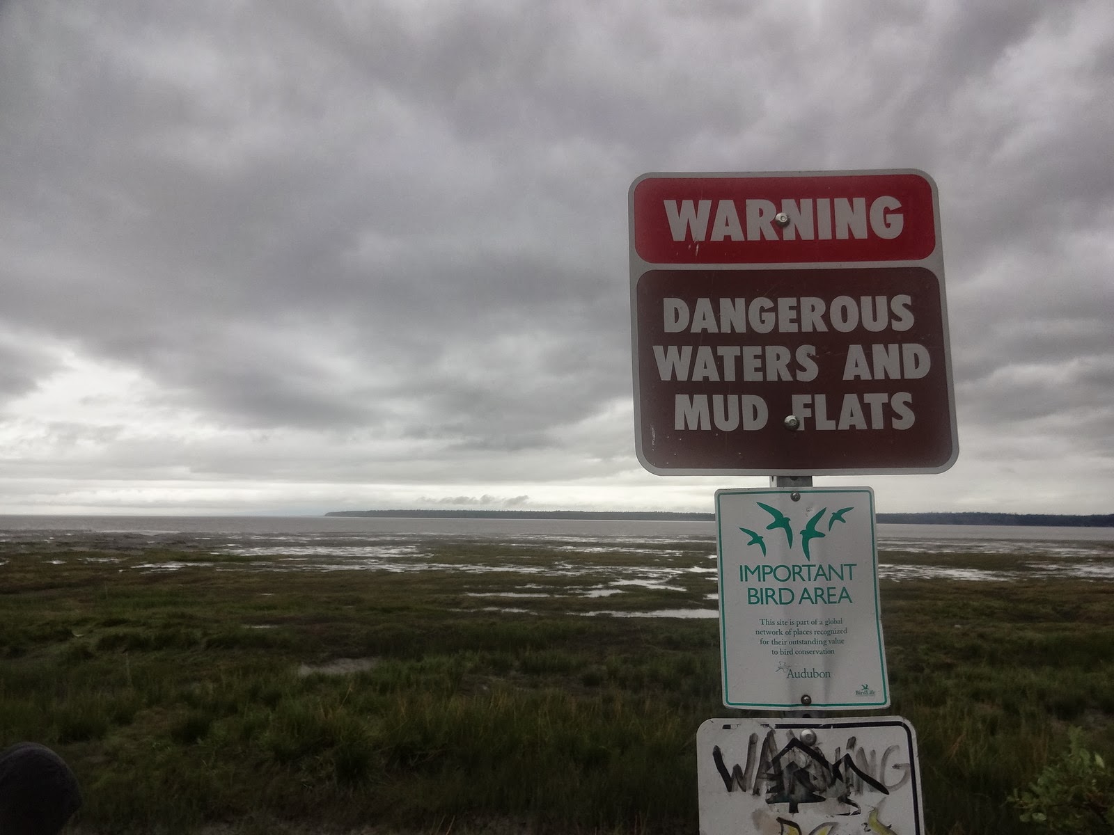 Couverture de publication