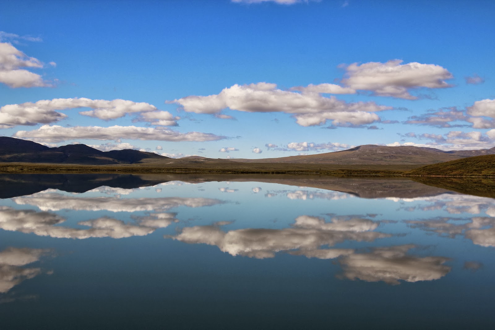 Couverture de publication