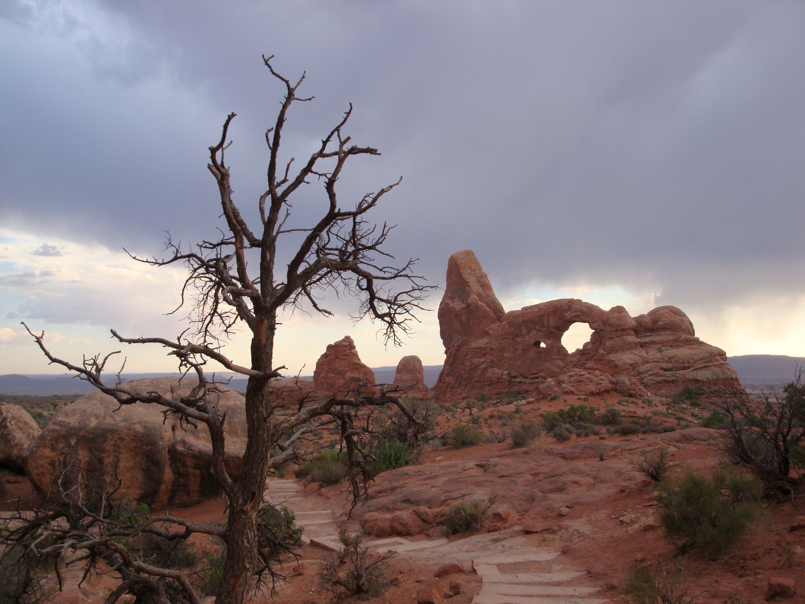 Couverture de publication