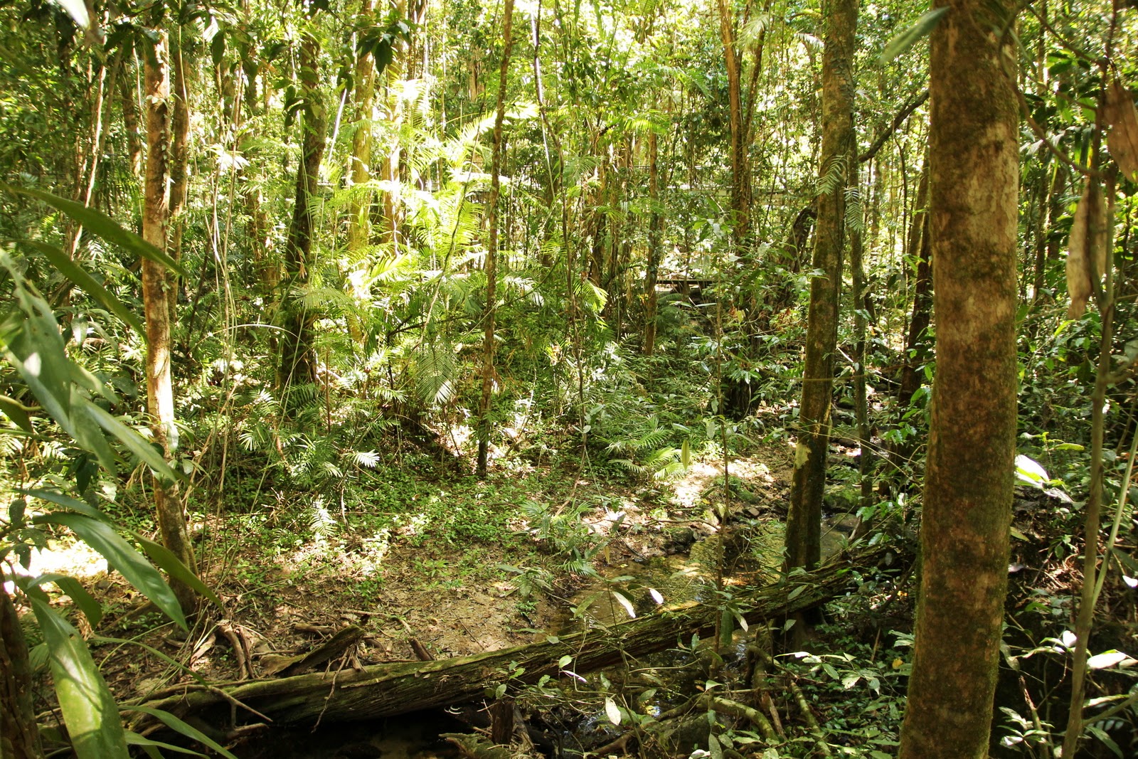 Couverture de publication