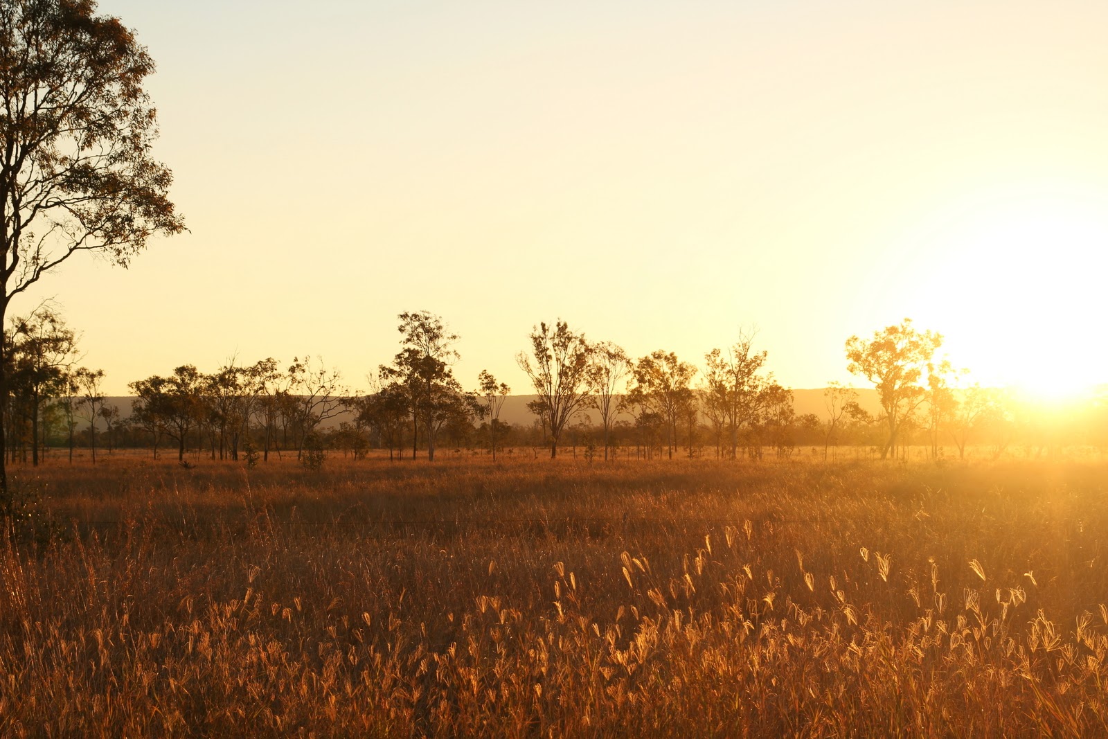 Couverture de publication