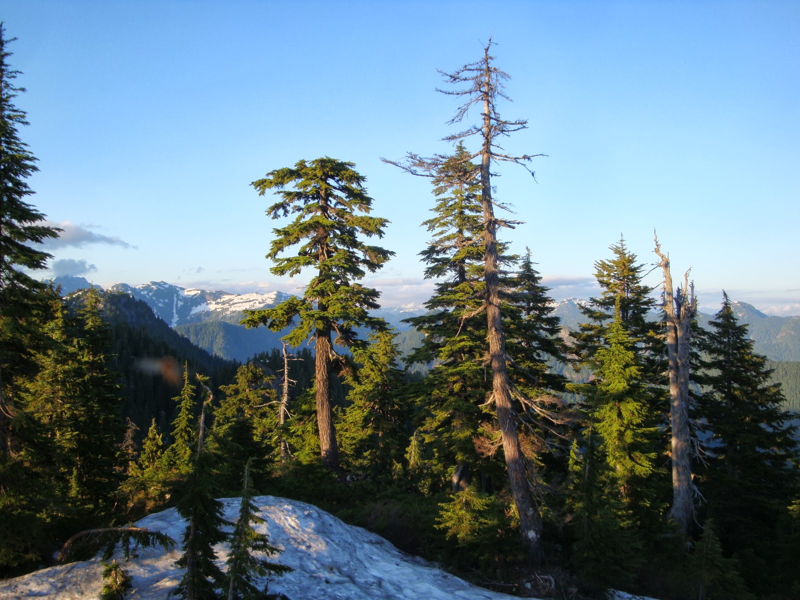 Couverture de publication