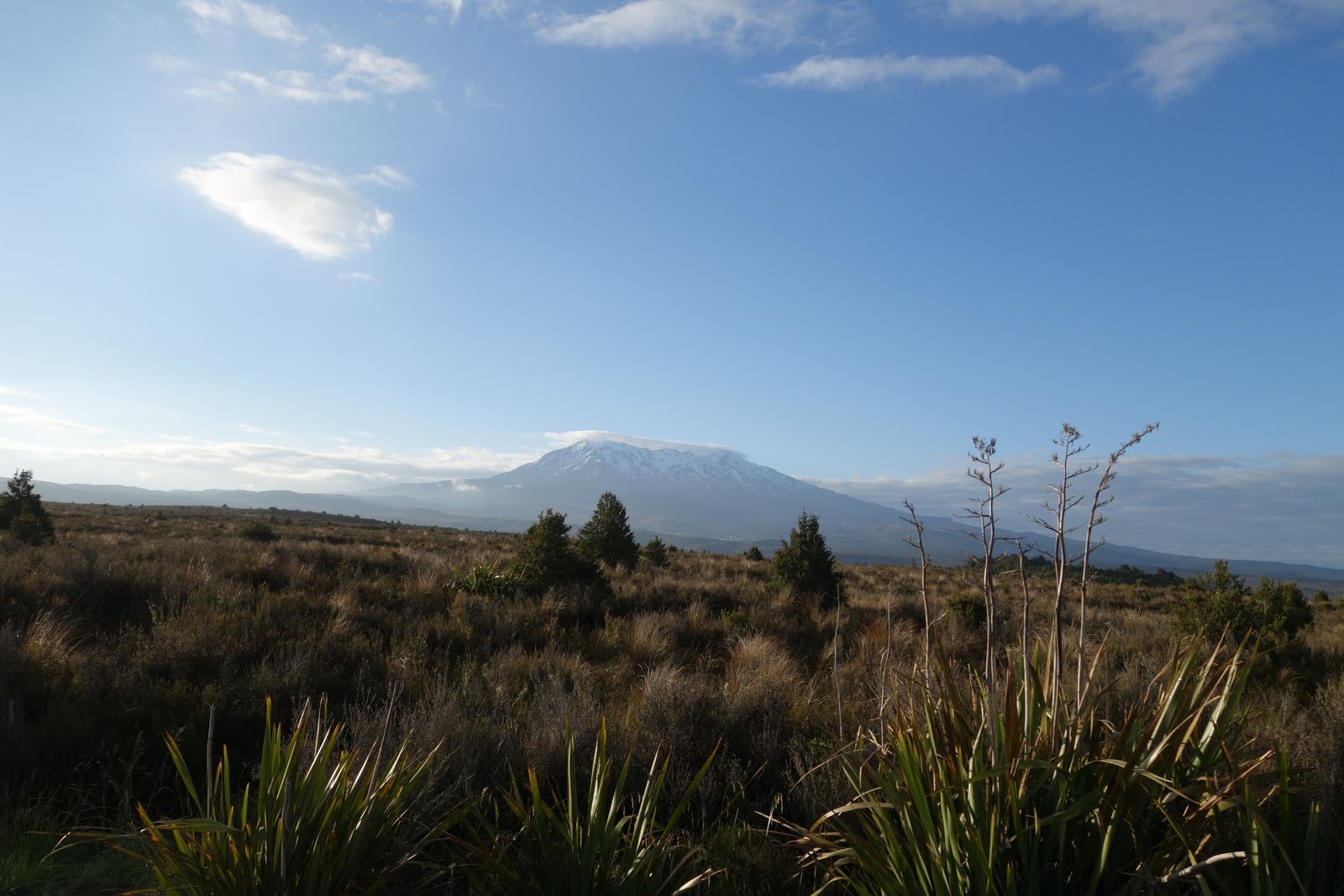 Couverture de publication